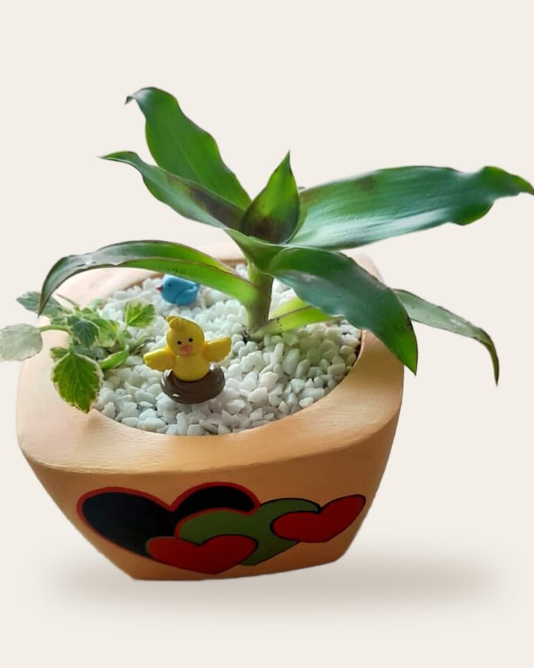 Vaso de concreto bege com corações pintados à mão e planta