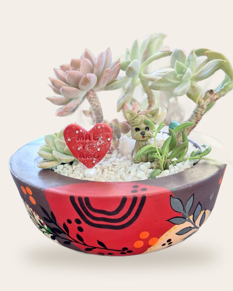 Vaso de concreto bordô e vermelho com jardim de suculentas e coração de recado
