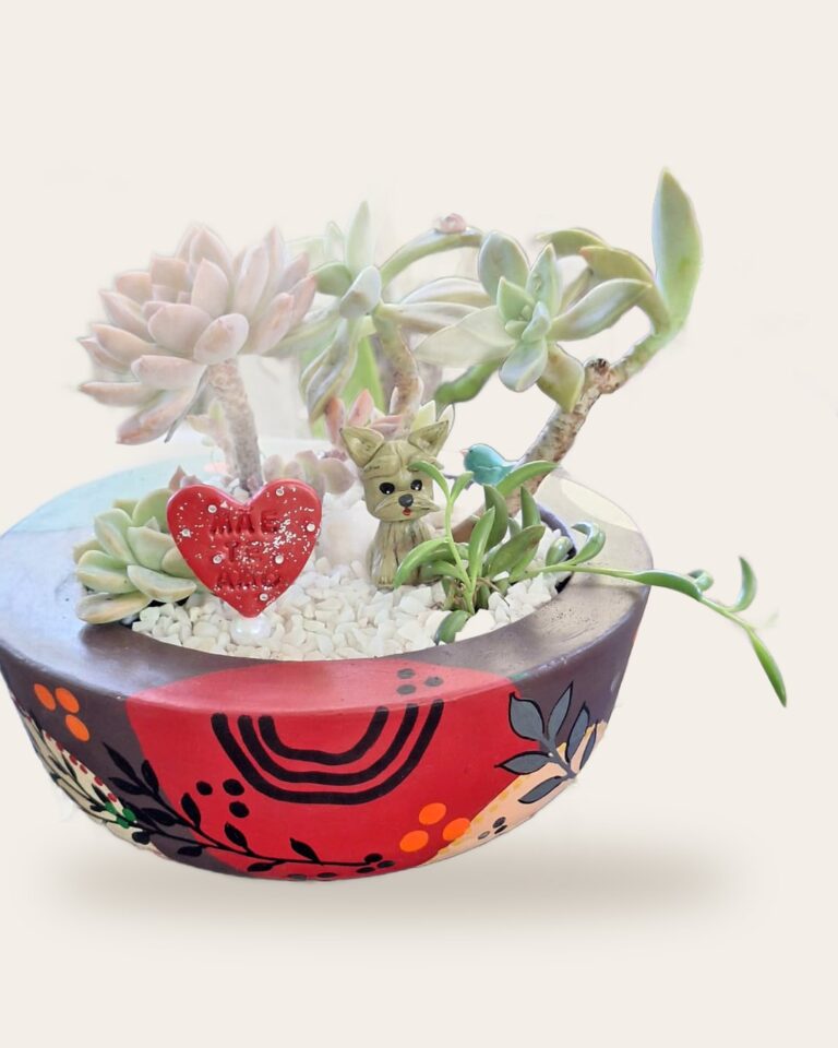 Vaso de concreto bordô e vermelho pintado à mão com jardim de suculentas