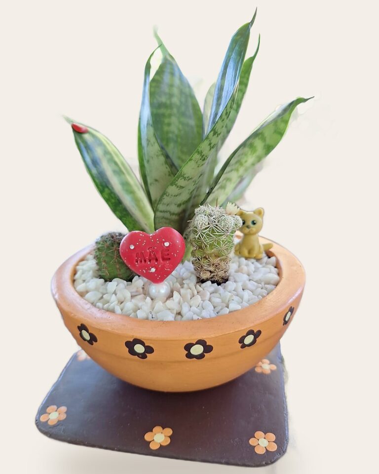 Vaso de concreto laranja sobre base pintada, com suculentas e recado