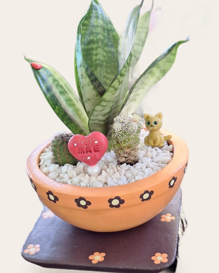 Vaso de concreto laranja com florzinhas, espada-de-são-jorge mini e cactos