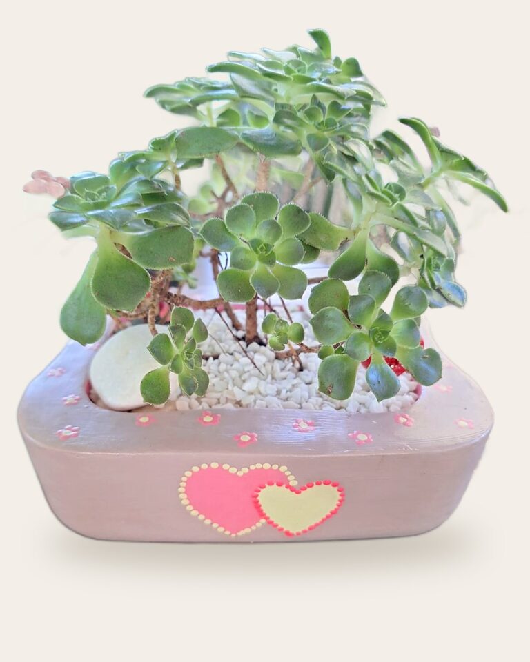 Vaso de concreto lilás com corações pintados à mão e suculenta