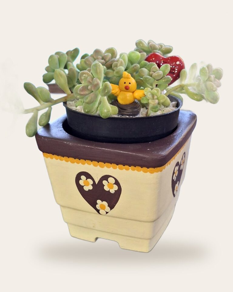 Vaso quadrado de concreto creme com coração pintado à mão e suculenta