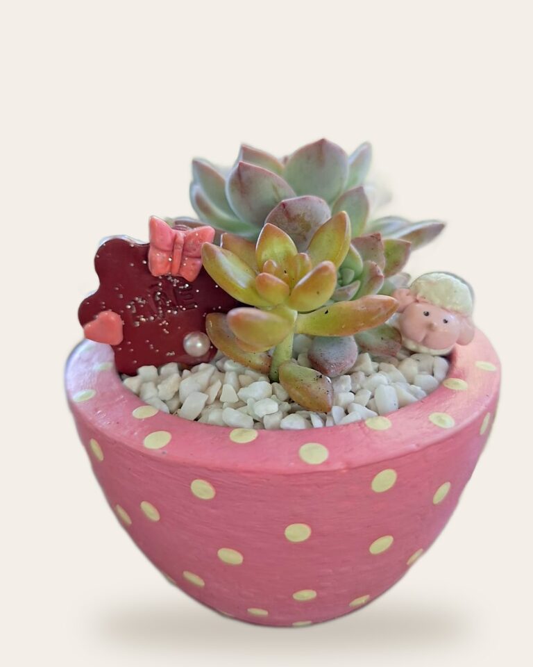 Vaso de concreto rosa de bolinhas com suculentas e enfeites de ovelhinha e florzinha