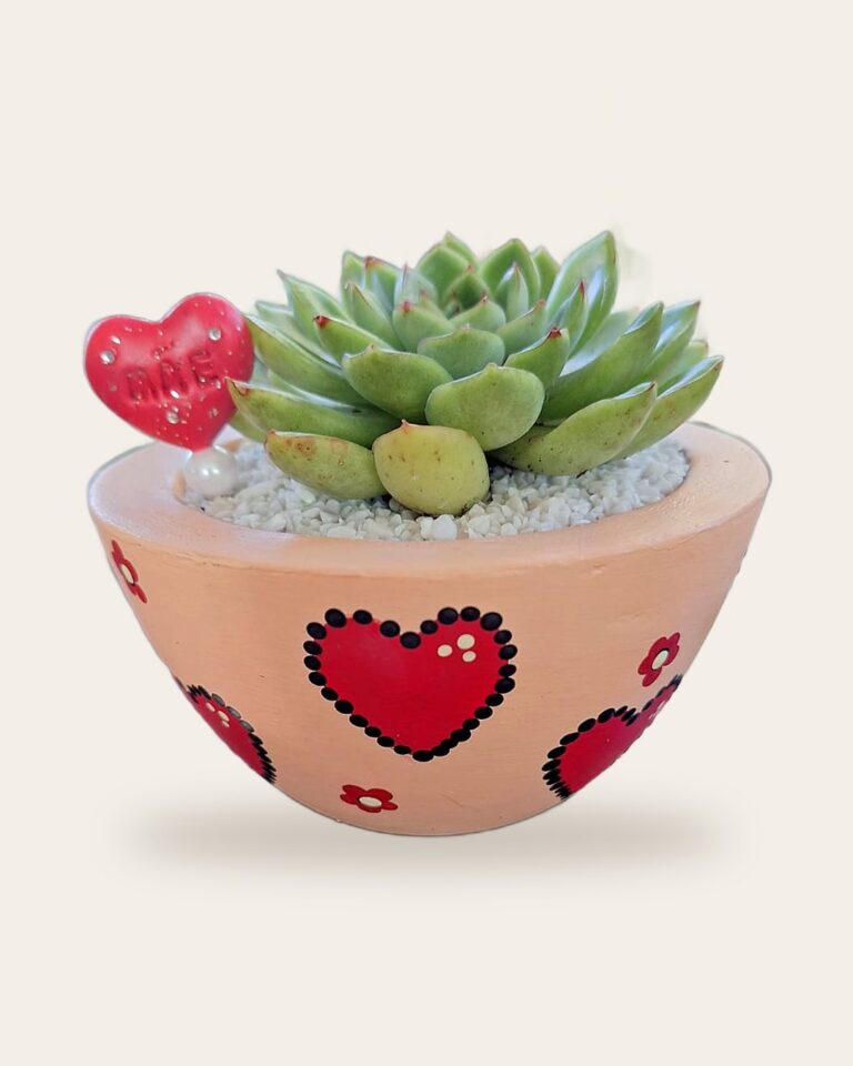 Vaso de concreto rosa-claro com corações vermelhos, suculenta e coraçãozinho de recado