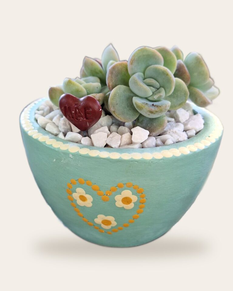 Vaso de concreto verde-água com coração de florzinhas e suculenta